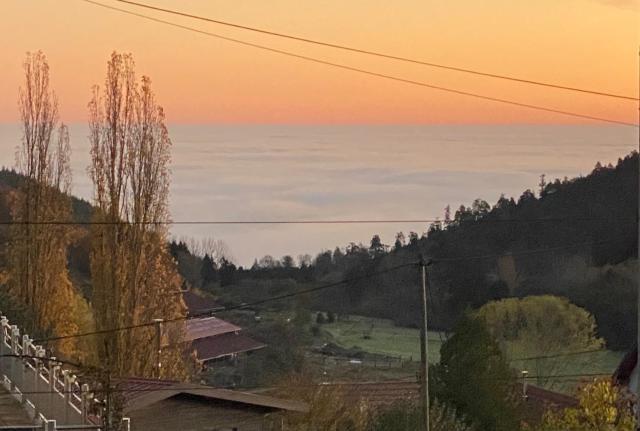 Entre deux ailes - Gîte with SPA in Alsace