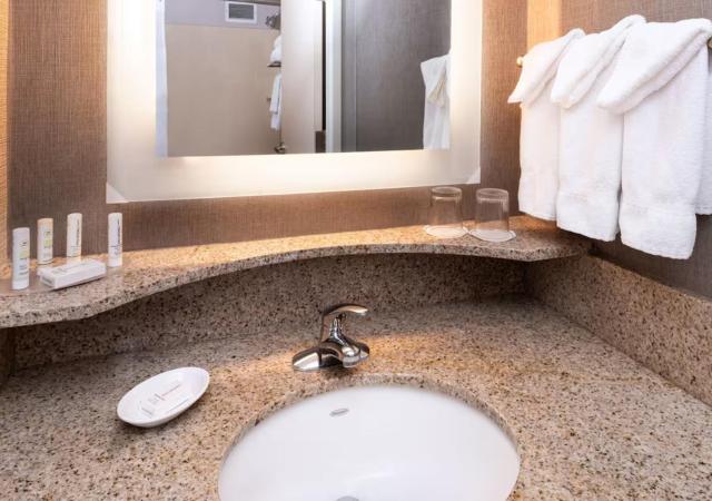 SpringHill Suites by Marriott Pittsburgh North Shore