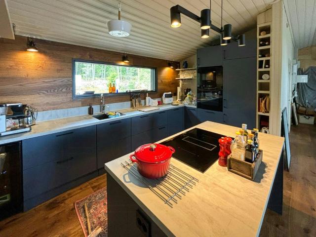 Modern Archipelago Cabin With Views On Aspö