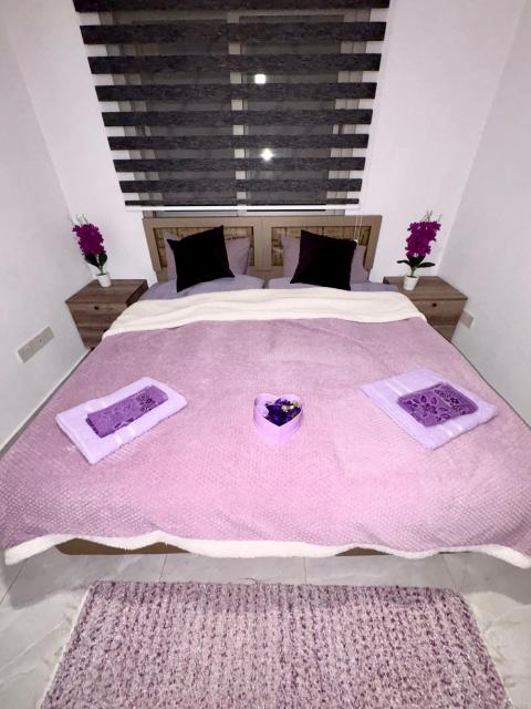 Lapta Purple 2 bedroom