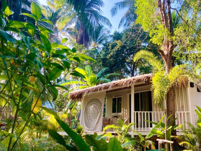 Secret Palm