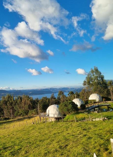 Glamping Store