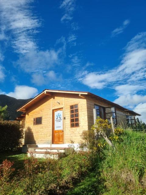 Glamping Store