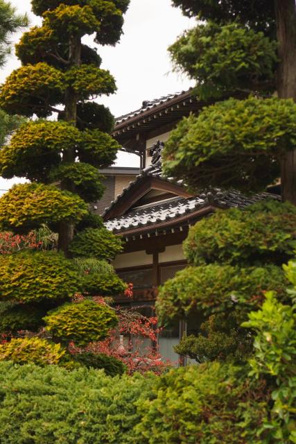 Inaka Lodge - Countryside Stay