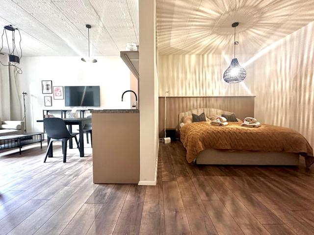 FARSKA STUDIO BY SELECTED PROPERTIES - in the heart of Nitra