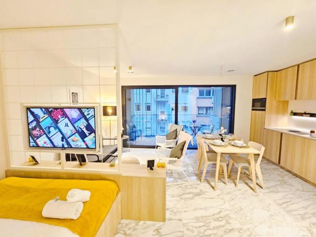 Cosy Terrace Studio close to city center-Limp11