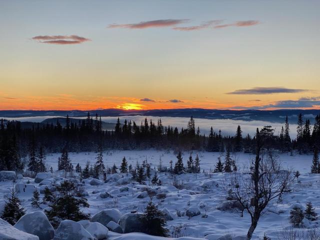 TexasToppen, cabin in Hafjell with sauna