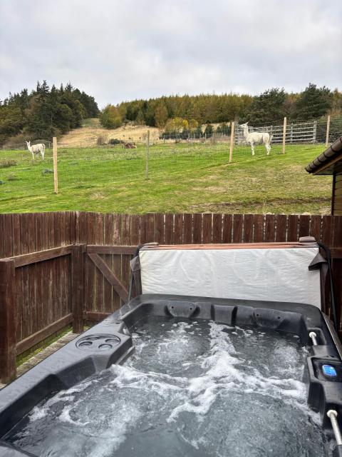 Woodpecker Lodge with Hot Tub