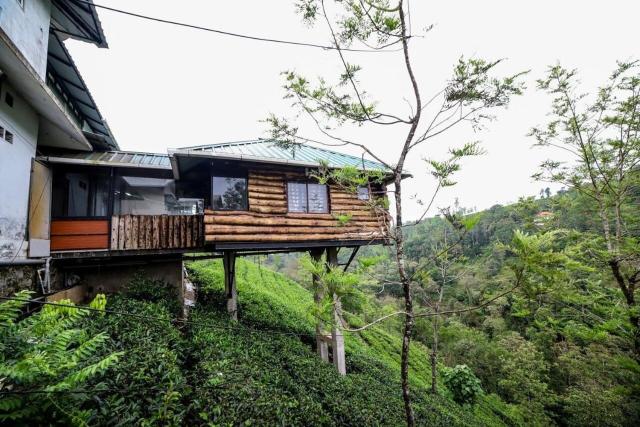 Cliff Inn Mountain Resort