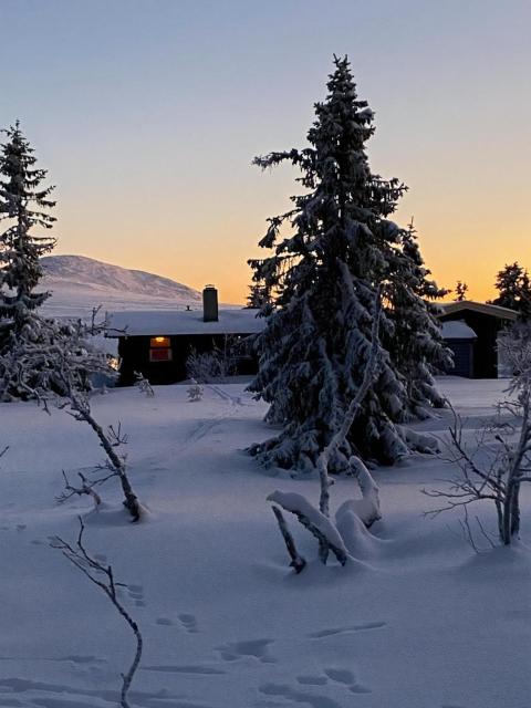 Original Trybo Cabin At Trysil Mountain