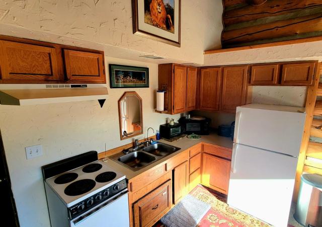 Cozy Wolf Log Cabin Mountain Ski lodge