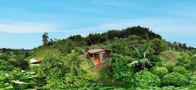 Tesorito House en las Montañas del Quindío