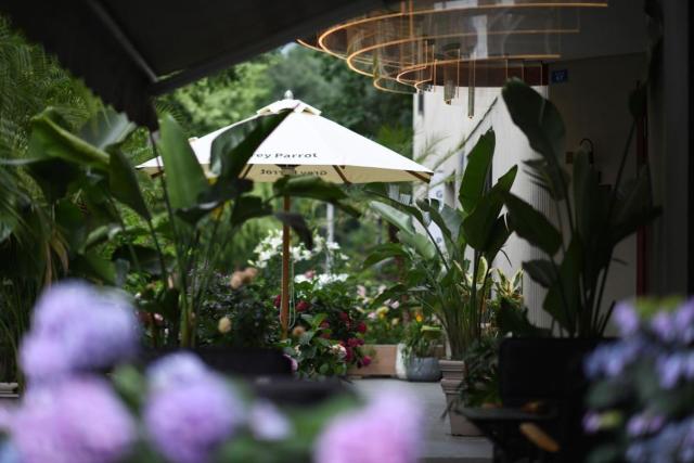 Grey Parrot Resort Hotel