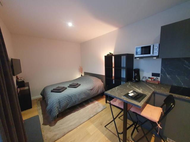 Studio Les Deux Grenouilles 5mn de Colmar