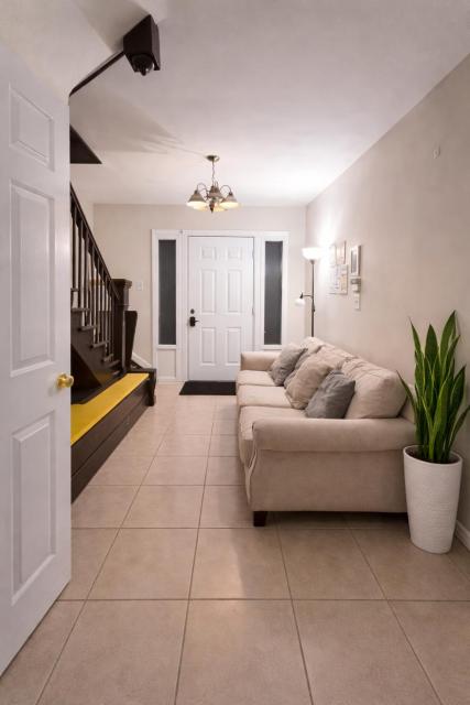 Hollywood Comfort Vibe LA