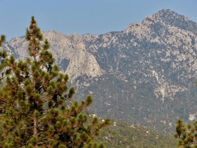 Luxury, Private, Panoramic Views Among the Pines