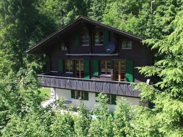 Holiday Home Chalet Tannegüetli by Interhome
