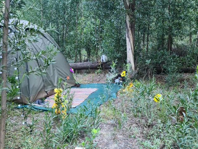 Tannenhof Camping Ground