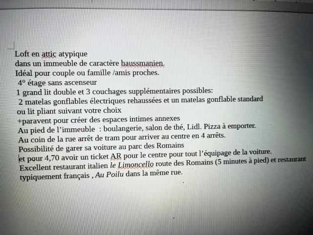 Loft lumineux atypique 10 minutes Strasbourg centre