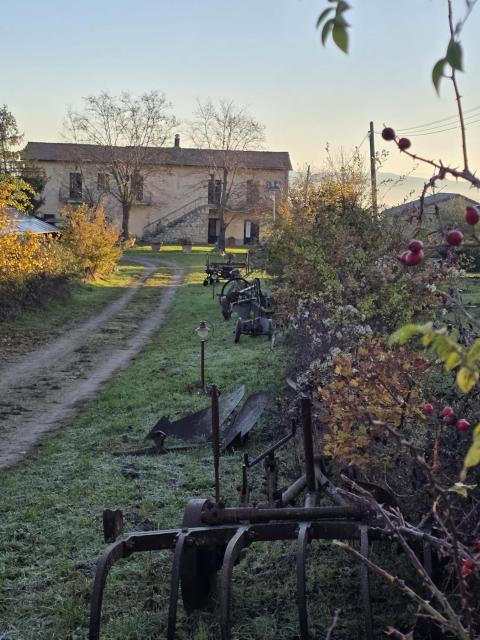 Agriturismo Collina degli Ulivi