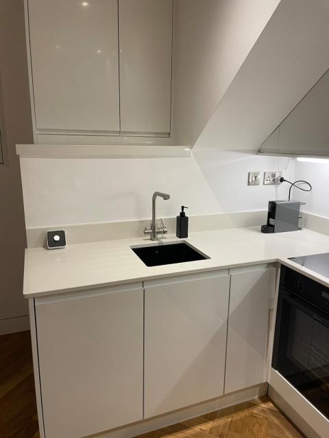 Luxury One Bed Penthouse Apartment in Central Dublin D2