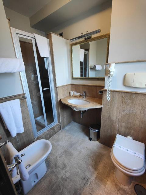 Hotel Lemi