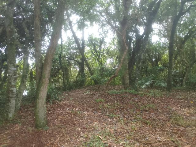 Ibira Camping
