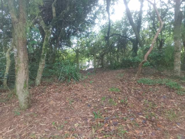 Ibira Camping
