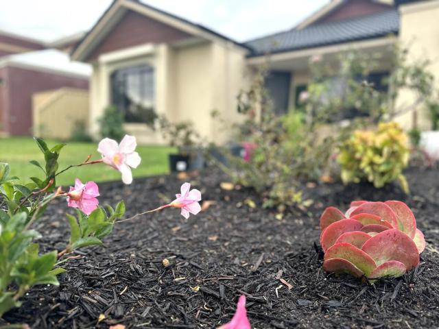 Cozy home close to Perth's first Starbucks