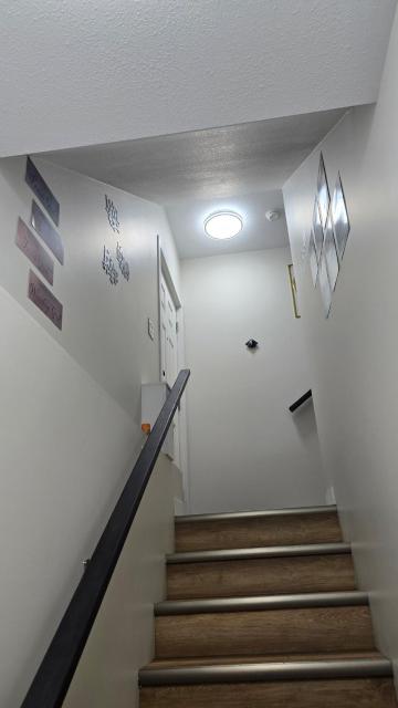 Elian's Nest