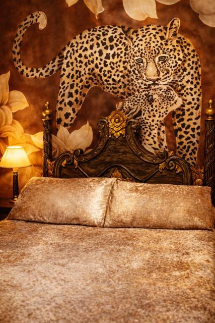 Enjoy An African Adventure In The Heart Of Swansea
