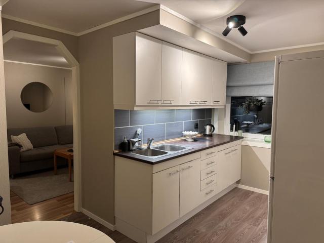 Cozy apartment in the city center