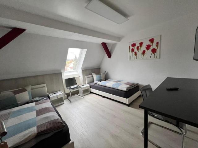 XXL Monteur Apartment Eisenach-Hörschel