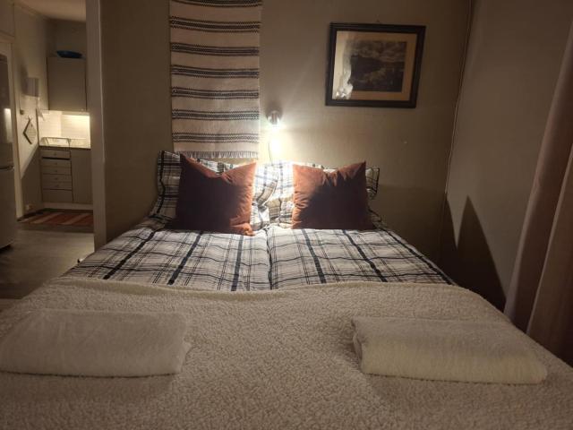 Apartement with free sauna and northern light