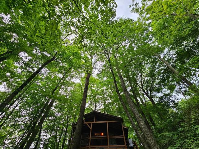 Romantic Summer Couples Escape, Private Hot Tub, EV Station, Fast 600 Mbps WiFi