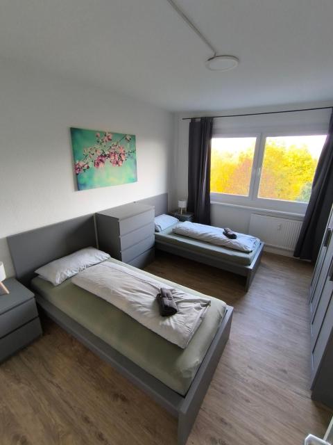 Charmante Wohnung in Potsdam