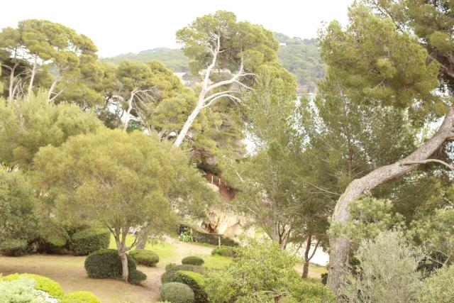 Résidence hôtelière Le Provençal à Giens - Bord de mer