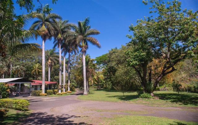 Green villa