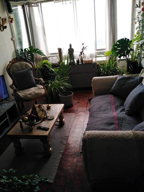 Habitación 1 persona