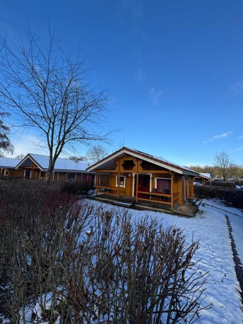 Kiwi-Cabin 45