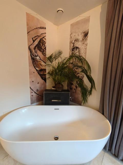 Huize Triangel - Wellness studio met sauna