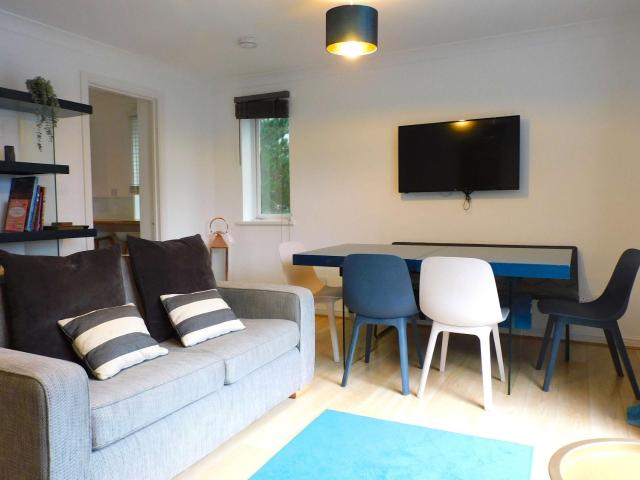 Bright 3 Bed Apt overlooking the Clyde SEC & Hydro