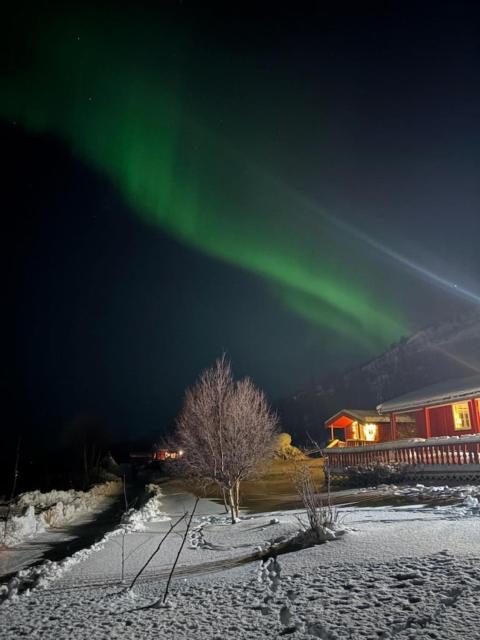 Cabin in stunning surroundings in Neverfjord