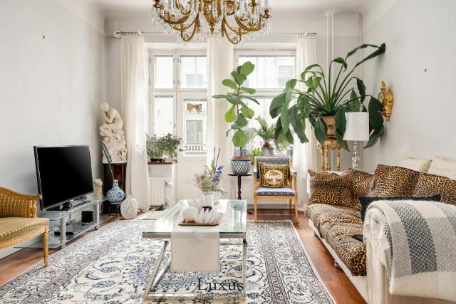 Elegant apartment in the city center