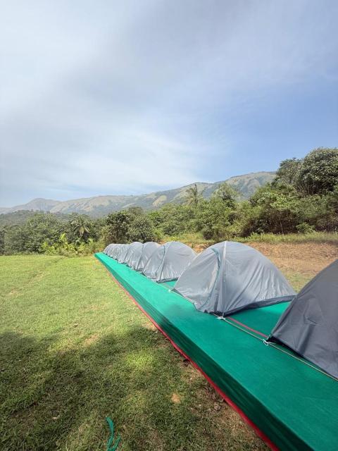 Calm coorg tent