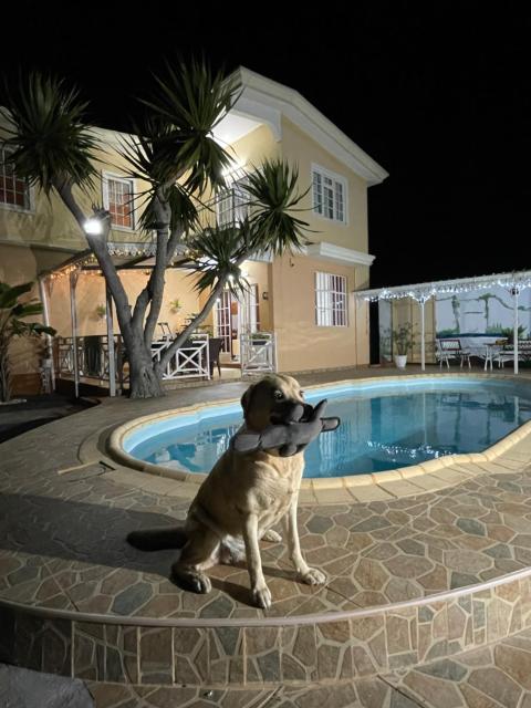 Villa kartner