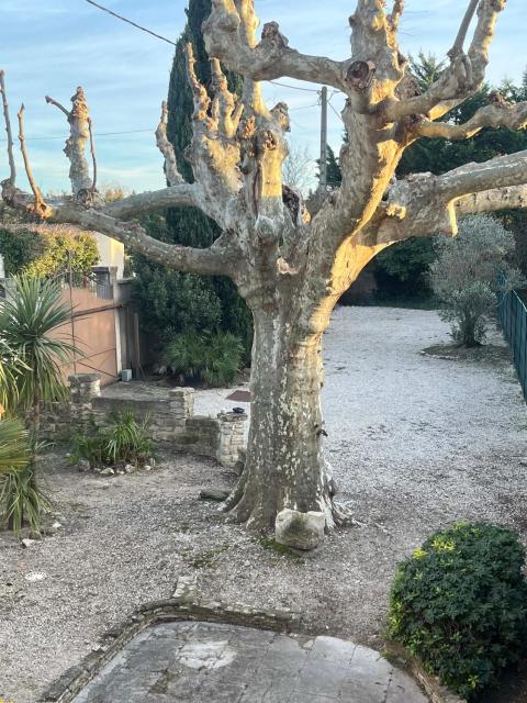 Le Mas du Platane - logement deux chambres en Provence