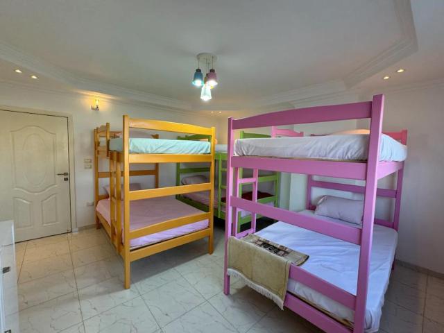 Cairo female Hostel Pyramids View