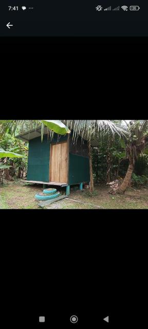 Alouatta Lodge and Canopy
