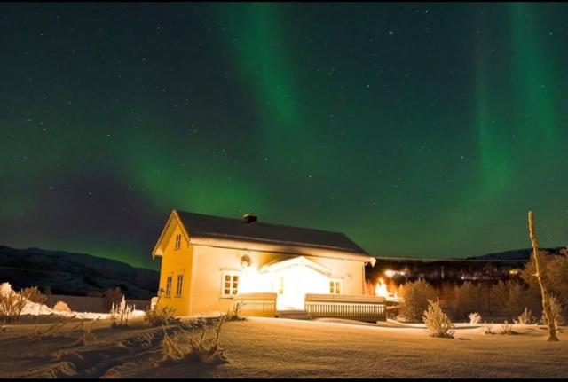 The house in Vika